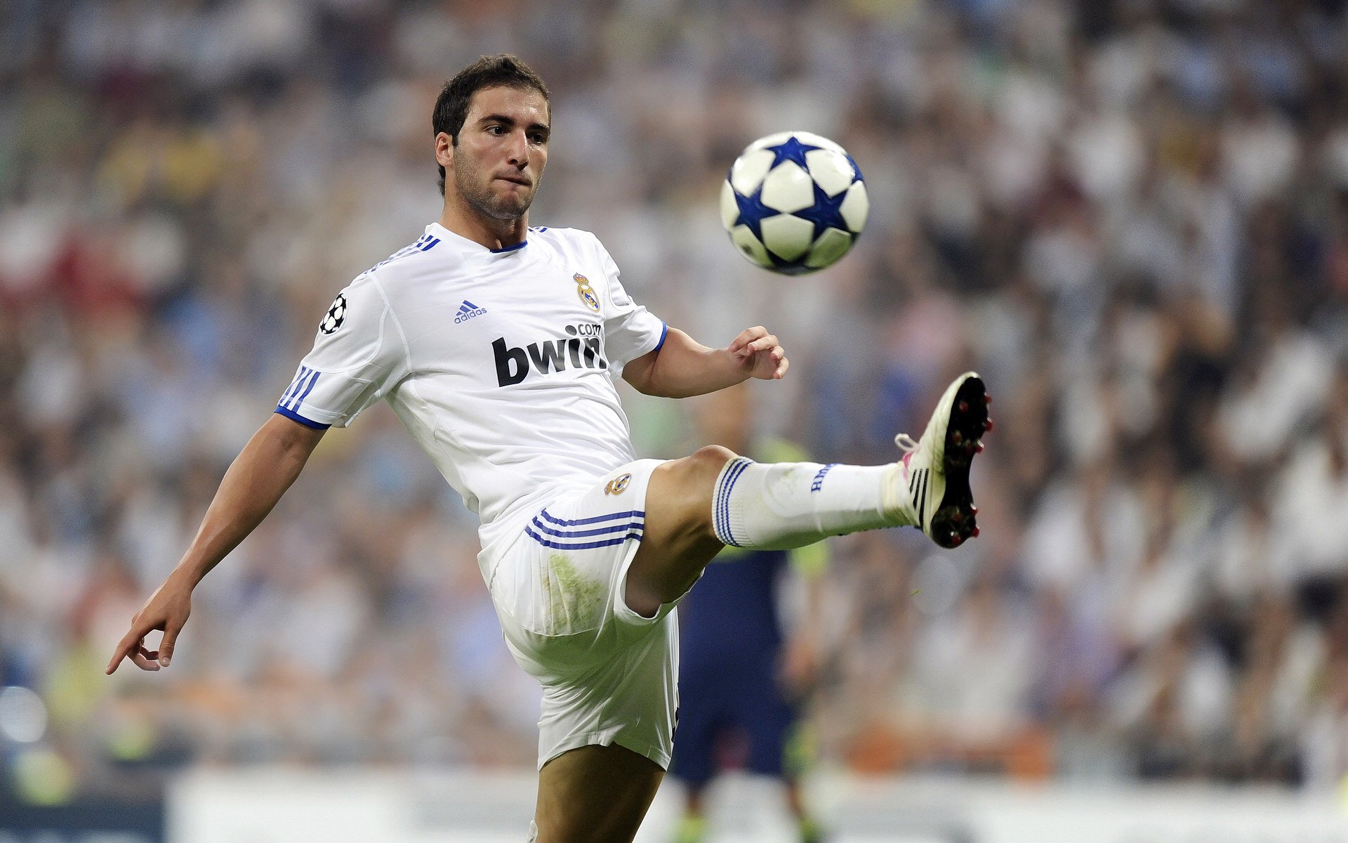 日本队与欧洲强队激战成和，日本欧洲杯